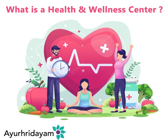 What Is A Health And Wellness Center? What Is A Health And Wellness Center?
